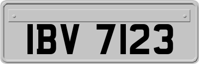 IBV7123