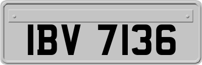 IBV7136