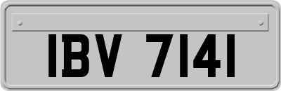 IBV7141