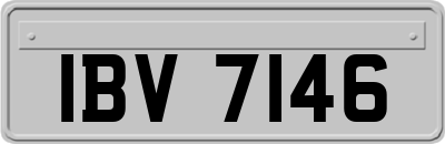 IBV7146