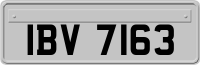 IBV7163