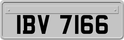 IBV7166