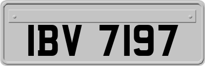 IBV7197