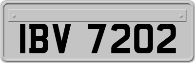 IBV7202