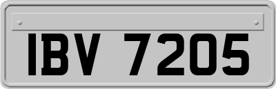 IBV7205