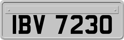 IBV7230