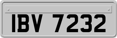 IBV7232