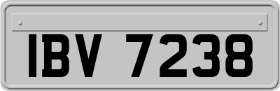 IBV7238