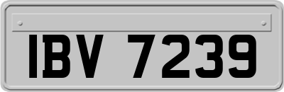 IBV7239