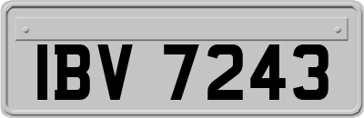 IBV7243