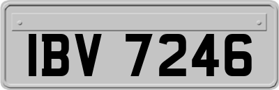 IBV7246