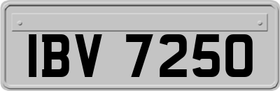 IBV7250