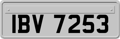 IBV7253
