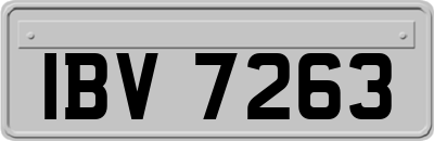 IBV7263