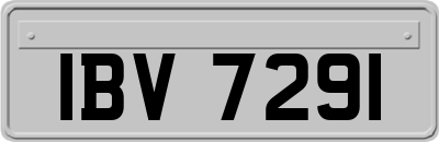 IBV7291