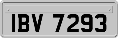 IBV7293