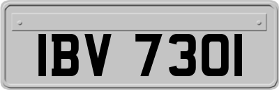 IBV7301