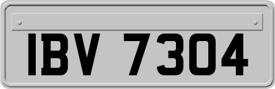 IBV7304