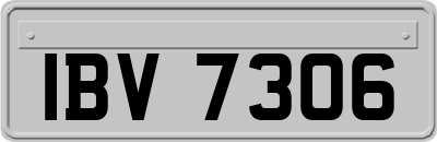 IBV7306
