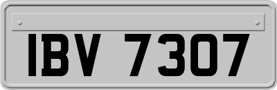 IBV7307
