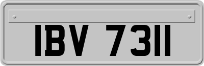 IBV7311