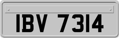 IBV7314