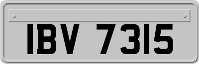 IBV7315