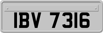 IBV7316
