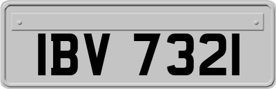 IBV7321