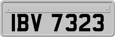 IBV7323