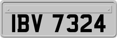 IBV7324