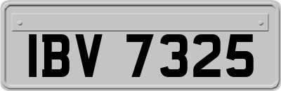 IBV7325