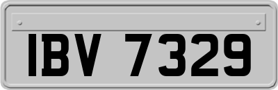 IBV7329