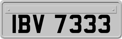 IBV7333