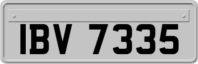 IBV7335