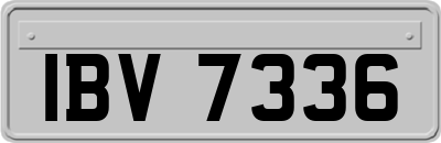 IBV7336