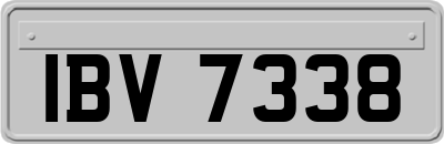 IBV7338