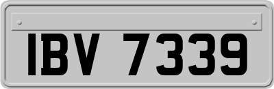 IBV7339