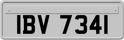 IBV7341