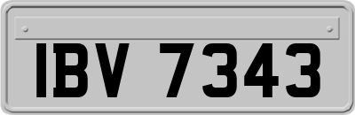 IBV7343