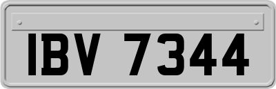 IBV7344