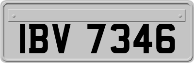 IBV7346