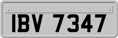 IBV7347
