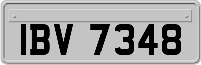 IBV7348