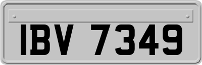 IBV7349