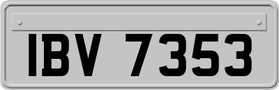 IBV7353
