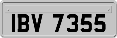 IBV7355