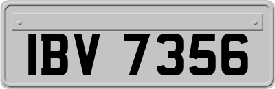 IBV7356