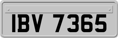 IBV7365