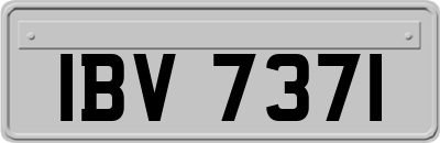 IBV7371
